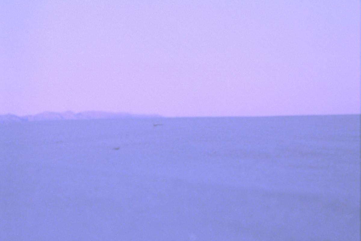 Death Valley