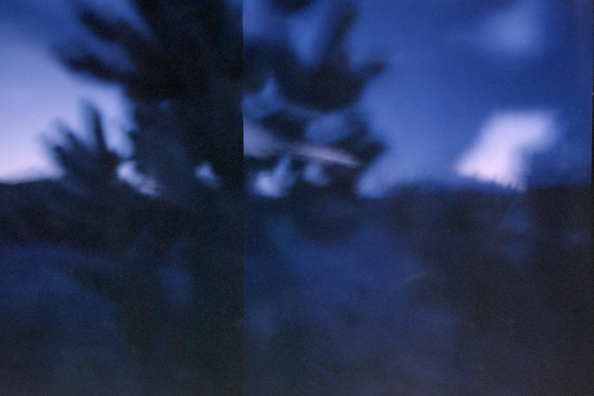 Joshua Tree
